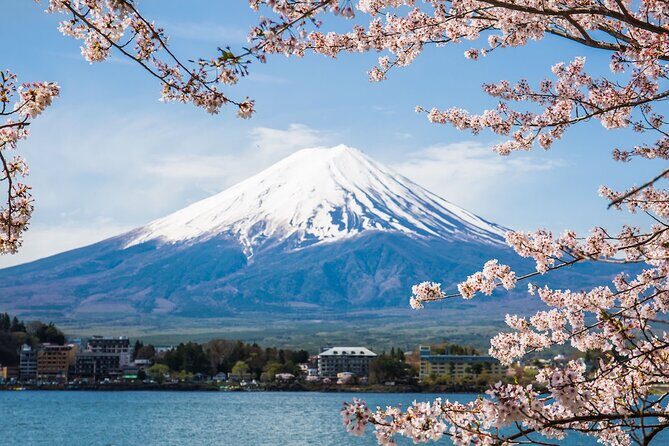 Mount Fuji Private Tour With English Guide Fully Customizable - Good To Know