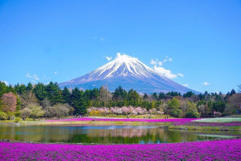 Mount Fuji - Private Tour with English Speaking Chauffeur - Final Thoughts
