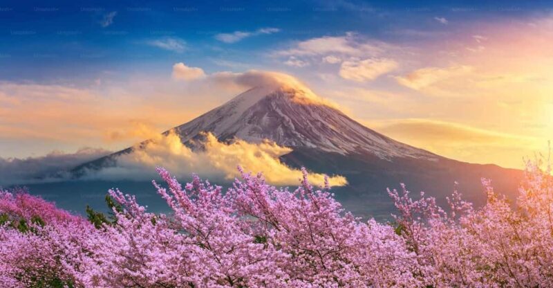 Mount Fuji Private Tour With English Speaking Driver - Experience Review: Mount Fuji Private Tour With English Speaking Driver