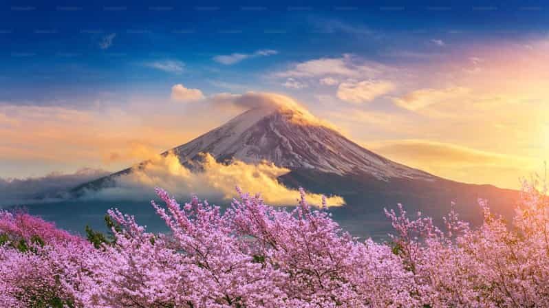 Mount Fuji Private Tour With English Speaking Driver - Who Is This Tour Perfect For?