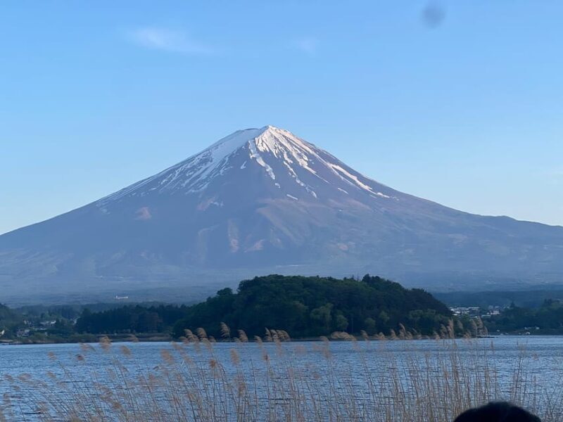 Mount Fuji Private Tour With English Speaking Driver/Guide - Analyzing the Experience: What to Expect