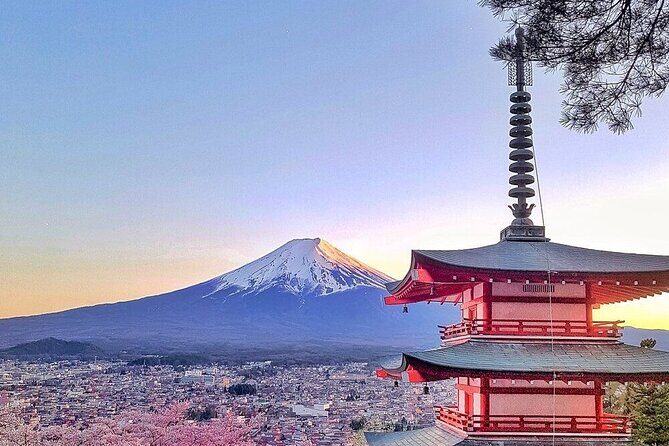Mount Fuji Private tour with Guide - A Deep Dive into the Mount Fuji Private Tour Experience