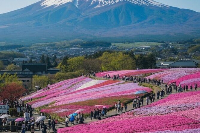 Mount Fuji Private tour with Guide - What Makes This Tour Stand Out?