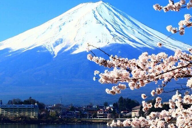 Mount Fuji Private tour with Guide - Why Choose This Tour?
