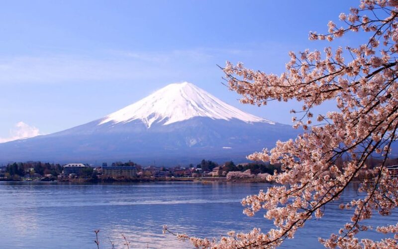 Mount Fuji Pvt. Full Day Trip with English-Speaking Driver - A Closer Look at the Itinerary and Highlights