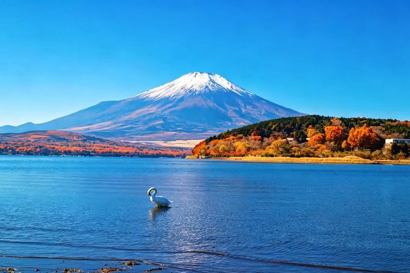Mount Fujis most beautiful train experience | Asama Park + Nikawa Clock Shop + Fujikyu Train + Lawson Convenience Store + Kawaguchiko Cruise/Ropeway + Lake Yamanaka Swan Feeding [Free Little Train Ticket] - The Fujikyu train from Shimoyoshida to Kawaguchiko