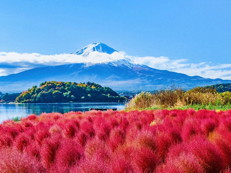 Mount Fujis Popular Must-See Six-View Day Tour - Arakurayama Sengen Park, Lake Kawaguchiko, Oshino Hakkai, Lake Yamanakako, Lawson Convenience Store, Nichikawa Clock Shop - Weather, meeting details, and small things to plan
