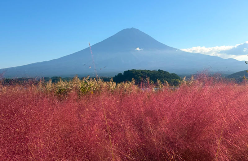 Mount Fujis Six Major Instagrammable Photo Spots One-Day Tour: Lake Yamanaka Upside-Down Fuji & Arakurayama Sengen Park & Nichikawa Clock Shop & Oishi Park (Departing from Tokyo) - Hikawa Clock Shop: a town street with Fuji in the distance