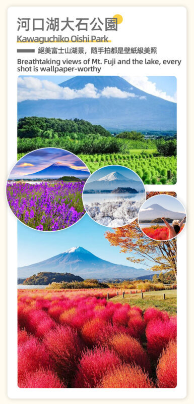Mount Fujis Top 5 Instagram-Worthy Spots: Exclusive Small Group Tour (4-9 People) - Practical details before you book