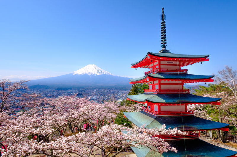Mount Fuji Scenic Day Tour: Mount Fuji 5th Station, Oshino Hakkai, Arakurayama Sengen Park, Kawaguchiko Panoramic Ropeway, Oishi Park, Lawson Convenience Store (Departing from Tokyo) - A day out of Tokyo, with Fuji in the starring role