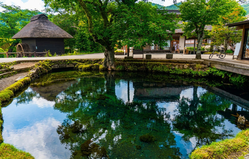 Mount Fuji Scenic Day Tour: Mount Fuji 5th Station, Oshino Hakkai, Arakurayama Sengen Park, Kawaguchiko Panoramic Ropeway, Oishi Park, Lawson Convenience Store (Departing from Tokyo) - Arakurayama and Lawson: check the seasonal package