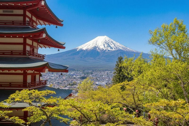 Mount Fuji Scenic Photography Day Tour: Chureito Pagoda & Kawaguchiko Oishi Park & Oshino Hakkai & INS Lawson & Hikawa Clock Shop (Departing from Tokyo) - What the price covers, and what it does not