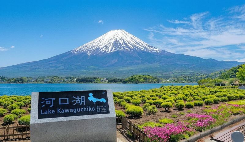 Mount Fuji Scenic Spots Exploration Day Tour: Saiko Iyashi-no-Sato Nenba & Arakurayama Sengen Park & Lake Kawaguchiko Oishi Park & Oshino Hakkai (Departing from Tokyo) - Four distinct Fuji stops, one long day