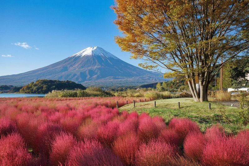 Mount Fuji Scenic Spots Exploration Day Tour: Saiko Iyashi-no-Sato Nenba & Arakurayama Sengen Park & Lake Kawaguchiko Oishi Park & Oshino Hakkai (Departing from Tokyo) - Oishi Park: a lakeside pause with seasonal color