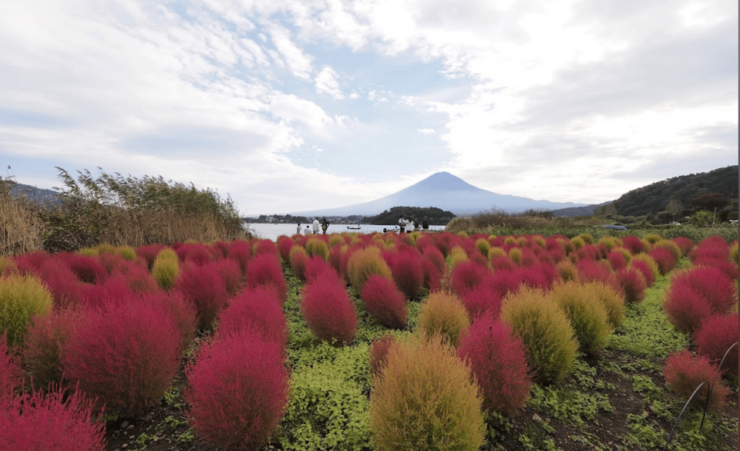 Mount Fuji Sightseeing Private Tour English Speaking Driver - Good To Know