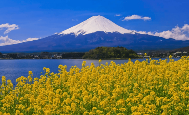 Mount Fuji Sightseeing Private Tour English Speaking Driver - Accessibility Features