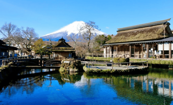 Mount Fuji Sightseeing Private Tour English Speaking Driver - Customer Feedback