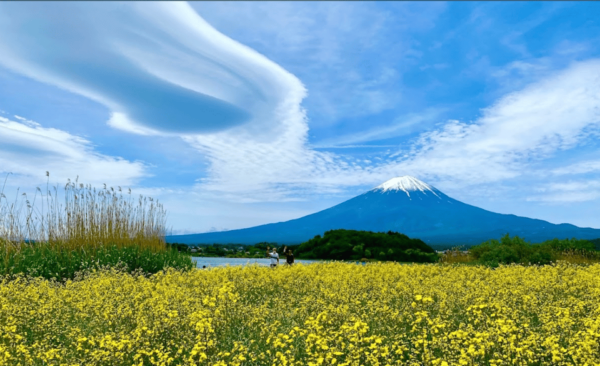 Mount Fuji Sightseeing Private Tour English Speaking Driver - Booking Information
