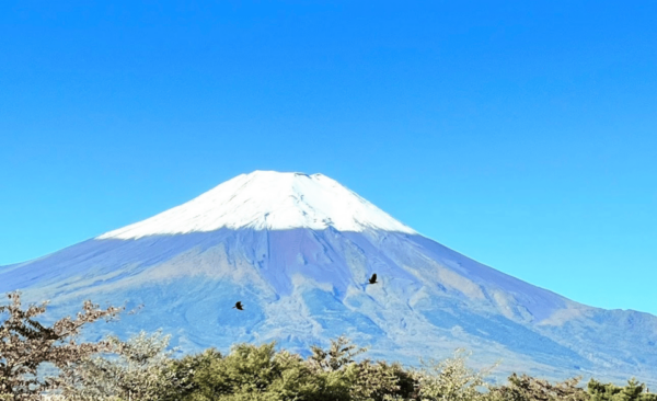 Mount Fuji Sightseeing Private Tour English Speaking Driver - Frequently Asked Questions