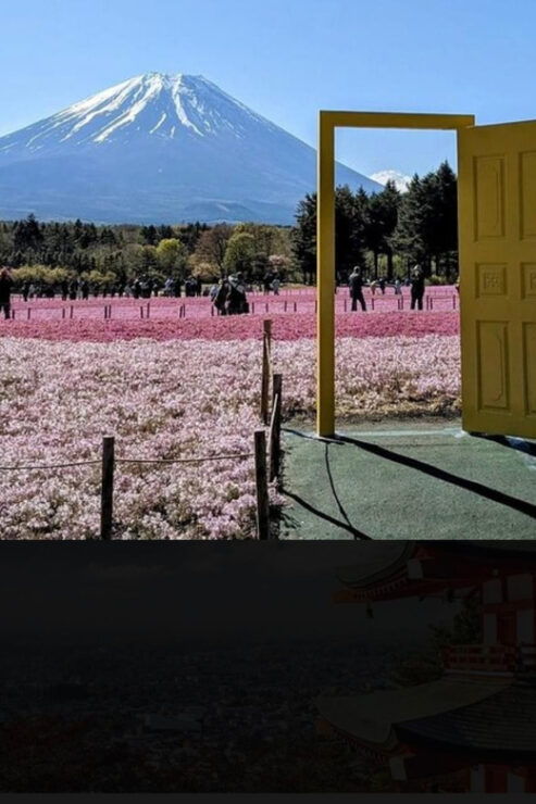 Mount Fuji Sightseeing Private Tour English Speaking Guide - Good To Know