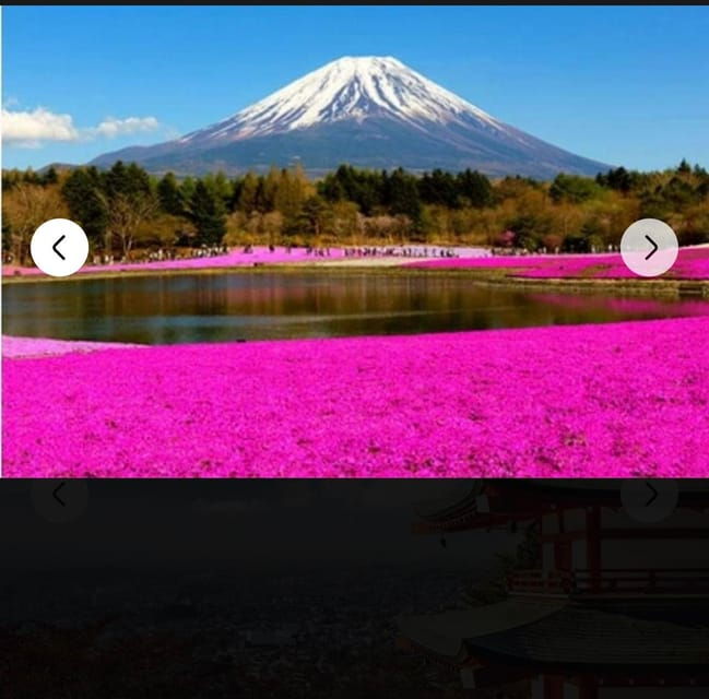 Mount Fuji Sightseeing Private Tour English Speaking Guide - Inclusions and Amenities