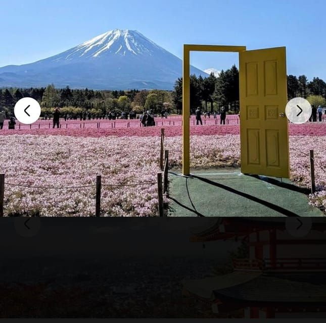 Mount Fuji Sightseeing Private Tour English Speaking Guide - Transportation Details