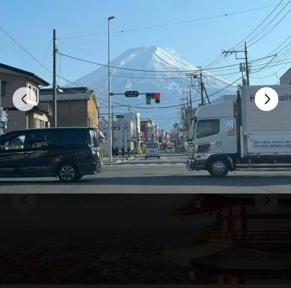 Mount Fuji Sightseeing Private Tour English Speaking Guide - Customer Reviews and Feedback
