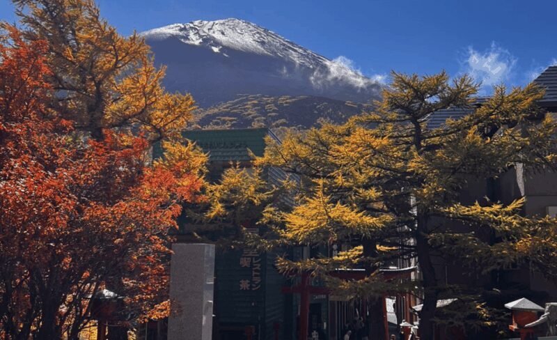 Mount Fuji Sightseeing tour with English speaking guide - The Sum Up