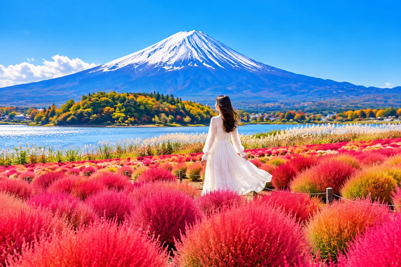 Mount Fuji Six Scenic Spots One-Day Tour: Arakurayama Sengen Park, Hikawa Clock Shop, Oshino Hakkai, Lake Kawaguchiko, Lawson Convenience Store, Lake Yamanakako Swan Feeding (Departing from Tokyo/Shinjuku) - One bus, six different Fuji views