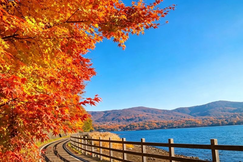 Mount Fuji Six Scenic Spots One-Day Tour: Arakurayama Sengen Park, Hikawa Clock Shop, Oshino Hakkai, Lake Kawaguchiko, Lawson Convenience Store, Lake Yamanakako Swan Feeding (Departing from Tokyo/Shinjuku) - The schedule, traffic and what can change
