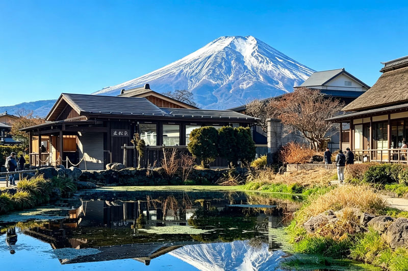 Mount Fuji & Tenjo-Yama Park Ropeway Day Tour - Who should choose this day tour?