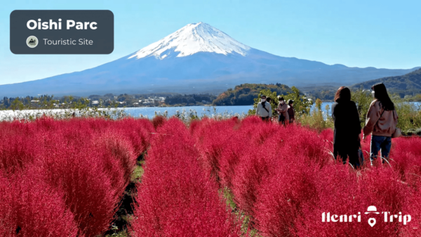 Mount Fuji : The Only Guide - Target Audience