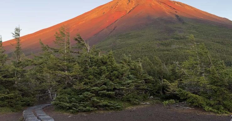Mount Fuji Tour From Tokyo With English Speaking Guide - Itinerary Highlights