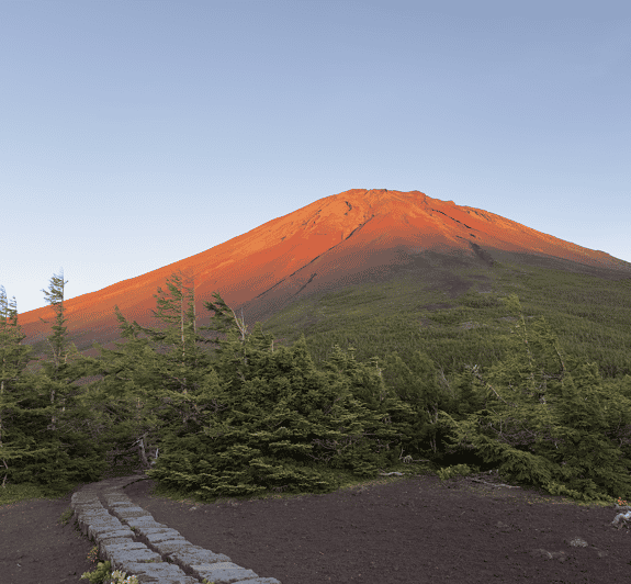 Mount Fuji Tour From Tokyo With English Speaking Guide - Optional Activities