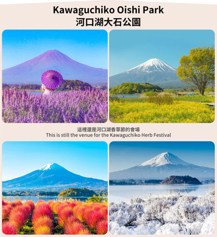 Mount Fuji Twin Lake Experience Tour: Hirano Beach & Lake Yamanaka Walk/KABA Amphibious Bus/Lake Yamanaka Swan Lake Cruise & Oshino Hakkai & Lake Kawaguchiko Experience One-Day Tour (Departing from Tokyo) - Lake Yamanaka: choose your ride before you book