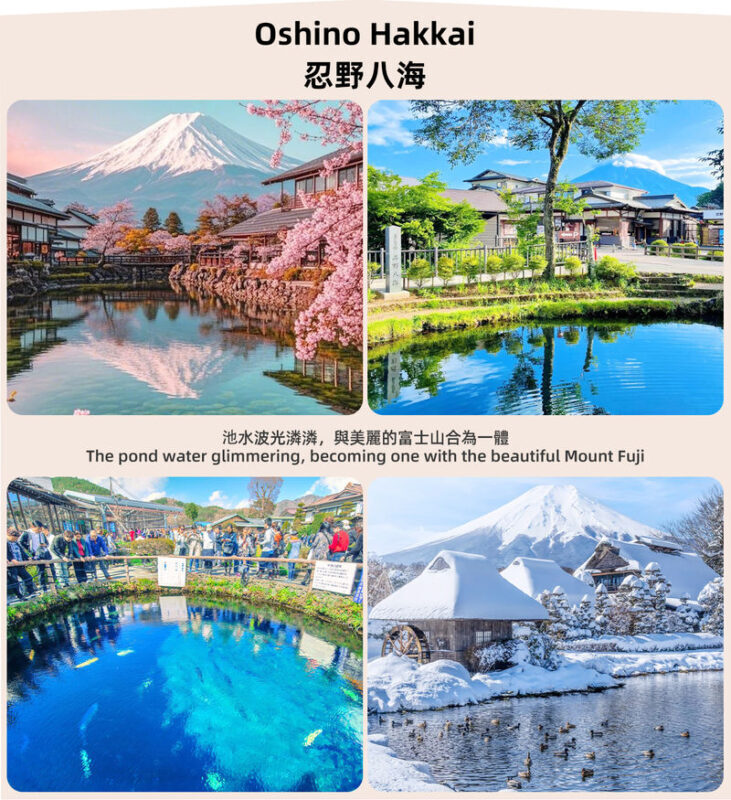 Mount Fuji Twin Lake Experience Tour: Hirano Beach & Lake Yamanaka Walk/KABA Amphibious Bus/Lake Yamanaka Swan Lake Cruise & Oshino Hakkai & Lake Kawaguchiko Experience One-Day Tour (Departing from Tokyo) - Oshino Hakkai: eight springs and a slower village stop