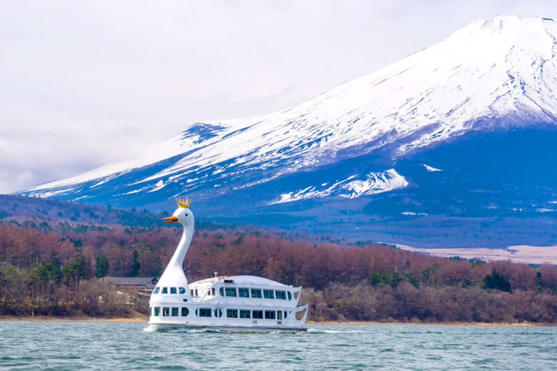 Mount Fuji Twin Lakes Instagram-Worthy Spots Day Tour | Lake Yamanaka Multiple Experiences Available + Lake Kawaguchi Oishi Park + Oshino Hakkai + Lawson Convenience Store + Nikawa Tokei Store (Departure from Tokyo) - At a glance