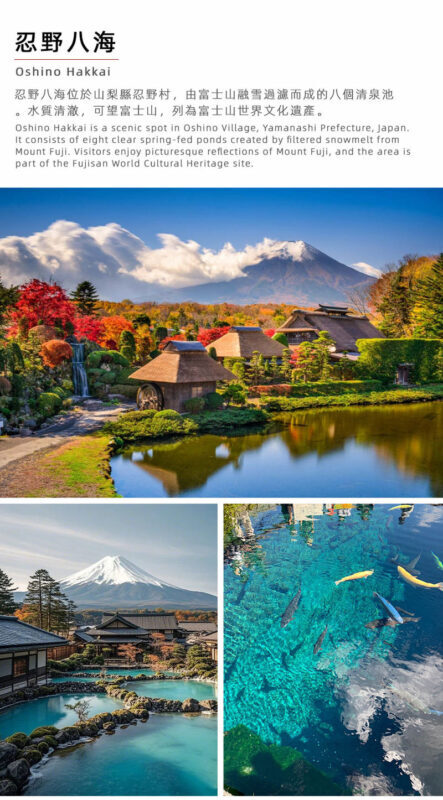 Mount Fuji Twin Lakes Internet-Famous Attractions Check-in Small Group Day Tour (Driver-Guide Service) - Who will get the most from this day