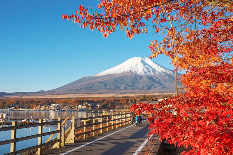 Mount Fuji Yamanakako Cycling/Cruise, Oshino Hakkai, Lake Kawaguchiko Oishi Park/Maple Corridor, Arakurayama Sengen Park/Ladder Town Day Trip | From Tokyo | Small Group (4-9 People) - A small-group day out of Tokyo