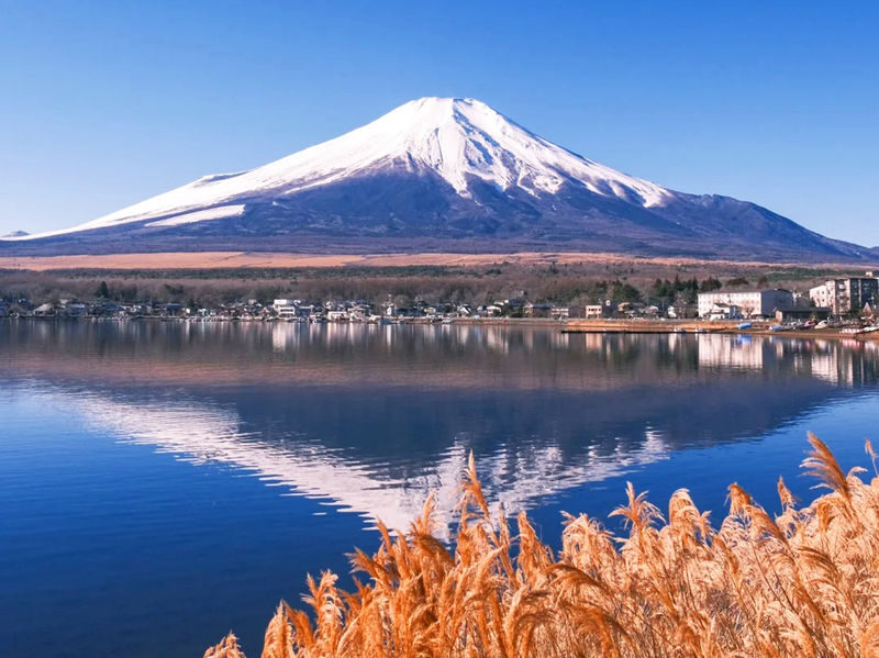 Mount Fuji Yamanakako Cycling/Cruise, Oshino Hakkai, Lake Kawaguchiko Oishi Park/Maple Corridor, Arakurayama Sengen Park/Ladder Town Day Trip | From Tokyo | Small Group (4-9 People) - Oshino Hakkai: clear water from Fuji