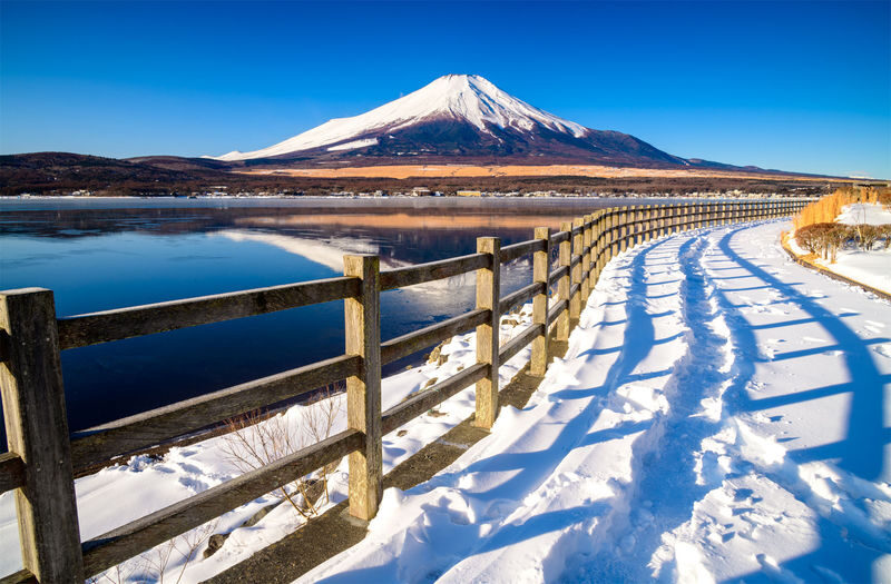 Mount Fuji Yamanakako Cycling/Cruise, Oshino Hakkai, Lake Kawaguchiko Oishi Park/Maple Corridor, Arakurayama Sengen Park/Ladder Town Day Trip | From Tokyo | Small Group (4-9 People) - Choose a Fuji panorama or a town stroll