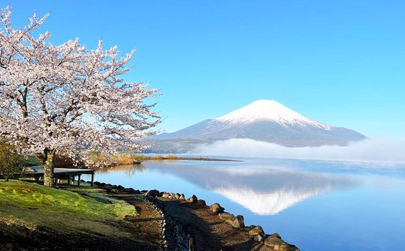 Mount Fuji Yamanakako Cycling/Cruise, Oshino Hakkai, Lake Kawaguchiko Oishi Park/Maple Corridor, Arakurayama Sengen Park/Ladder Town Day Trip | From Tokyo | Small Group (4-9 People) - Timing, pickup, and the ride back
