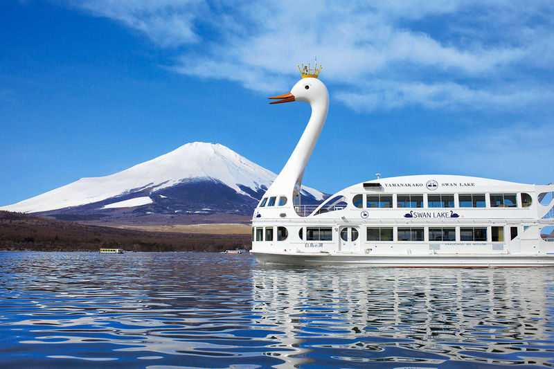 Mount Fuji Yamanakako Cycling/Cruise, Oshino Hakkai, Lake Kawaguchiko Oishi Park/Maple Corridor, Arakurayama Sengen Park/Ladder Town Day Trip | From Tokyo | Small Group (4-9 People) - Who should book this day trip?