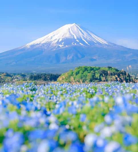 Mount Fuji,Hakone Private Tour by Car With Pick up - Good To Know