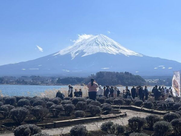 Mount Fuji,Hakone Private Tour by Car With Pick up - Tips for Your Tour