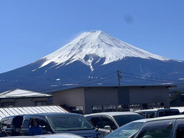 Mount Fuji,Hakone Private Tour by Car With Pick up - Booking Process and Policies