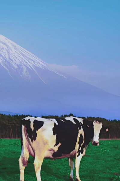 Mount Fuji,Hakone Private Tour by Car With Pick up - Nearby Attractions to Explore