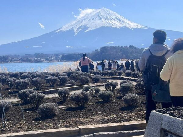 Mount Fuji,Hakone Private Tour by Car With Pick up - Frequently Asked Questions