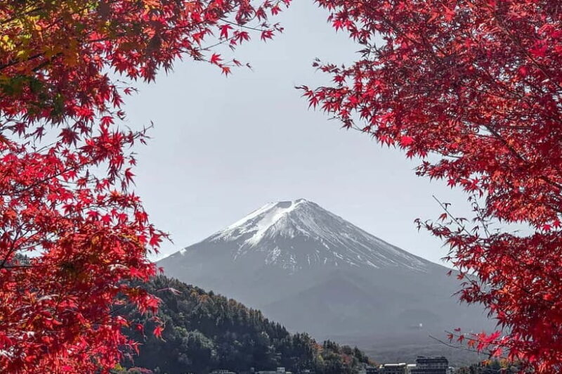 Mount Fuji,Lake Kawaguchiko Private Tour By Car With Pick Up - A Scenic Day with Flexibility