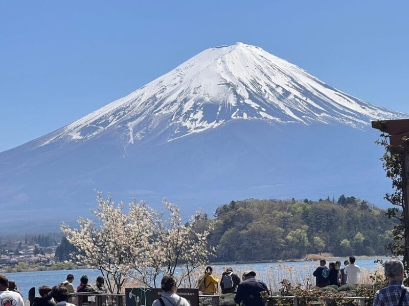 Mount Fuji,Lake Kawaguchiko Private Tour By Car With Pick Up - Final Thoughts: Is This Tour Right for You?
